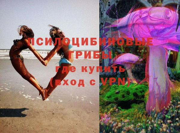 ALPHA PVP Михайловка