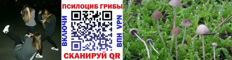 Галлюциногенные грибы прущие грибы  Тюмень 