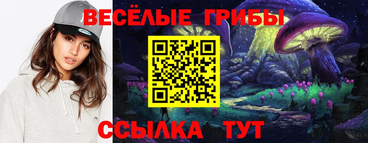 Галлюциногенные грибы прущие грибы Тюмень